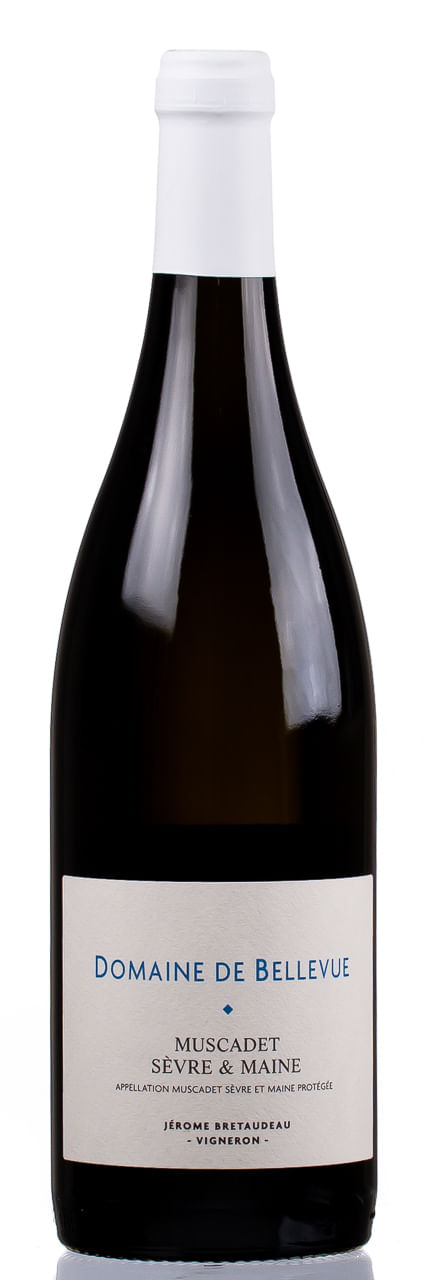 Vinho-Branco-Muscadet-Sevre-Et-Maine-2019