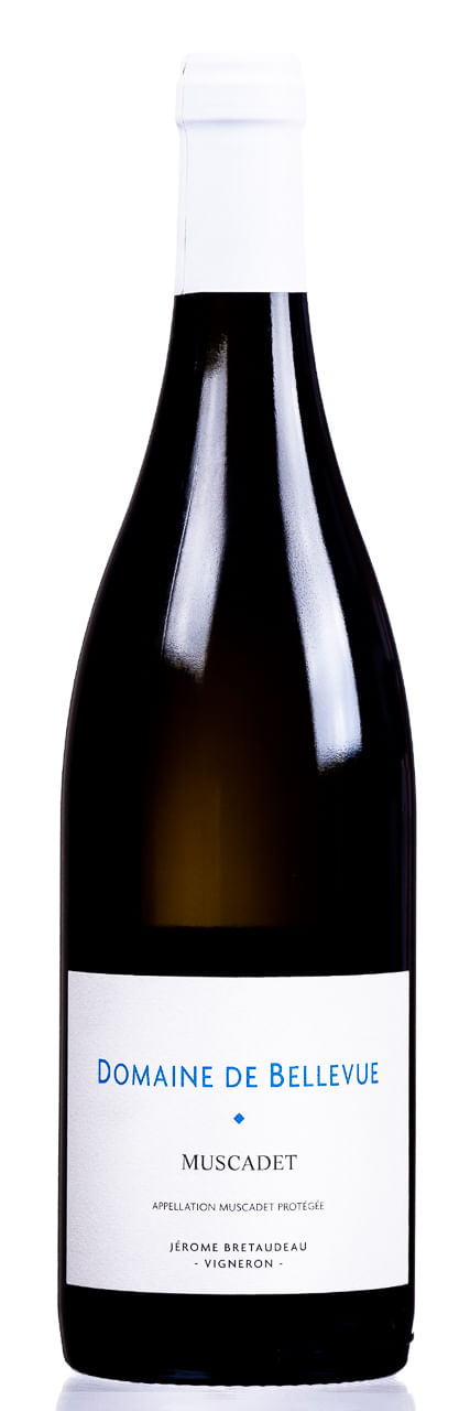 vinho_branco_muscadet_bellevue_2020_FRBVB2001