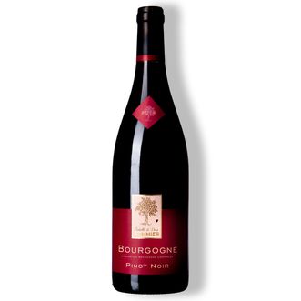 Vinho Tinto Bourgogne Pinot Noir 2019