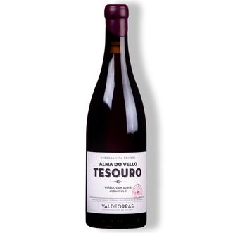 Vinho Tinto Alma Do Vello Tesouro 2019