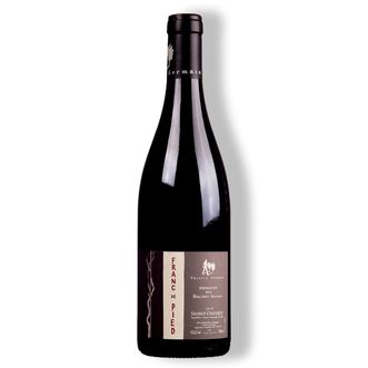 Vinho Tinto Franc De Pied Saumur Champigny 2019