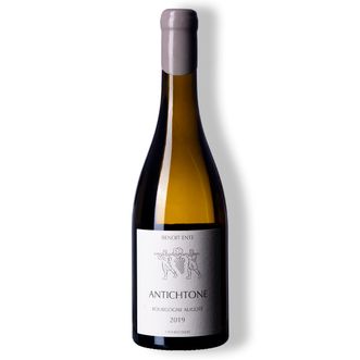 Vinho Branco Bourgogne Aligoté Antichtone 2019