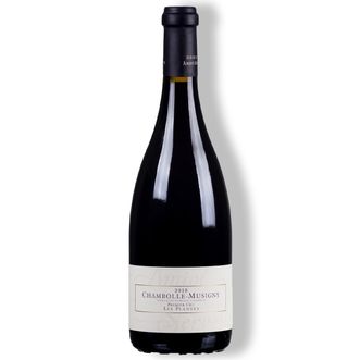 Vinho Tinto Chambolle-Musigny Premier Cru Les Plantes 2018