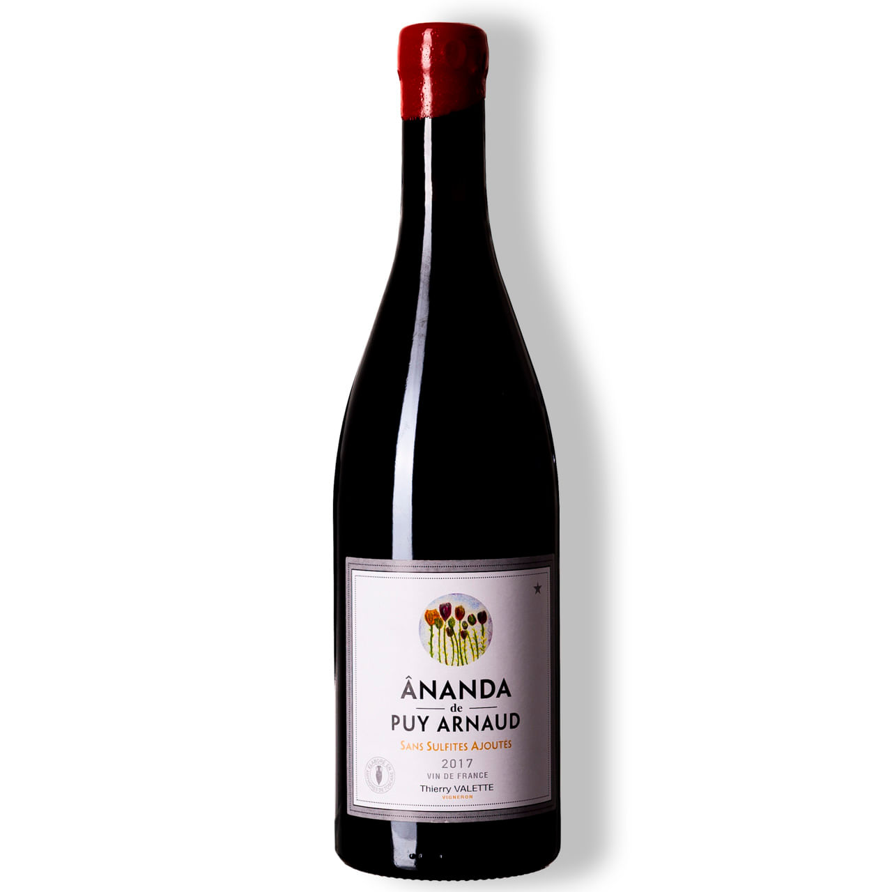 Vinho-Tinto-Bourgogne-Epineuil-Pinot-Noir-2017-MAGNUM-FRDGT1701N