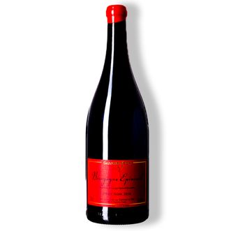 Vinho Tinto Bourgogne Epineuil Pinot Noir 2018 - MAGNUM