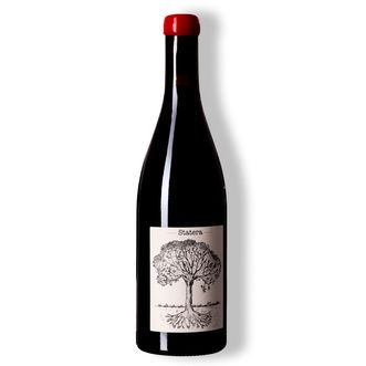 Vinho Tinto Statera Pinot Noir 2020