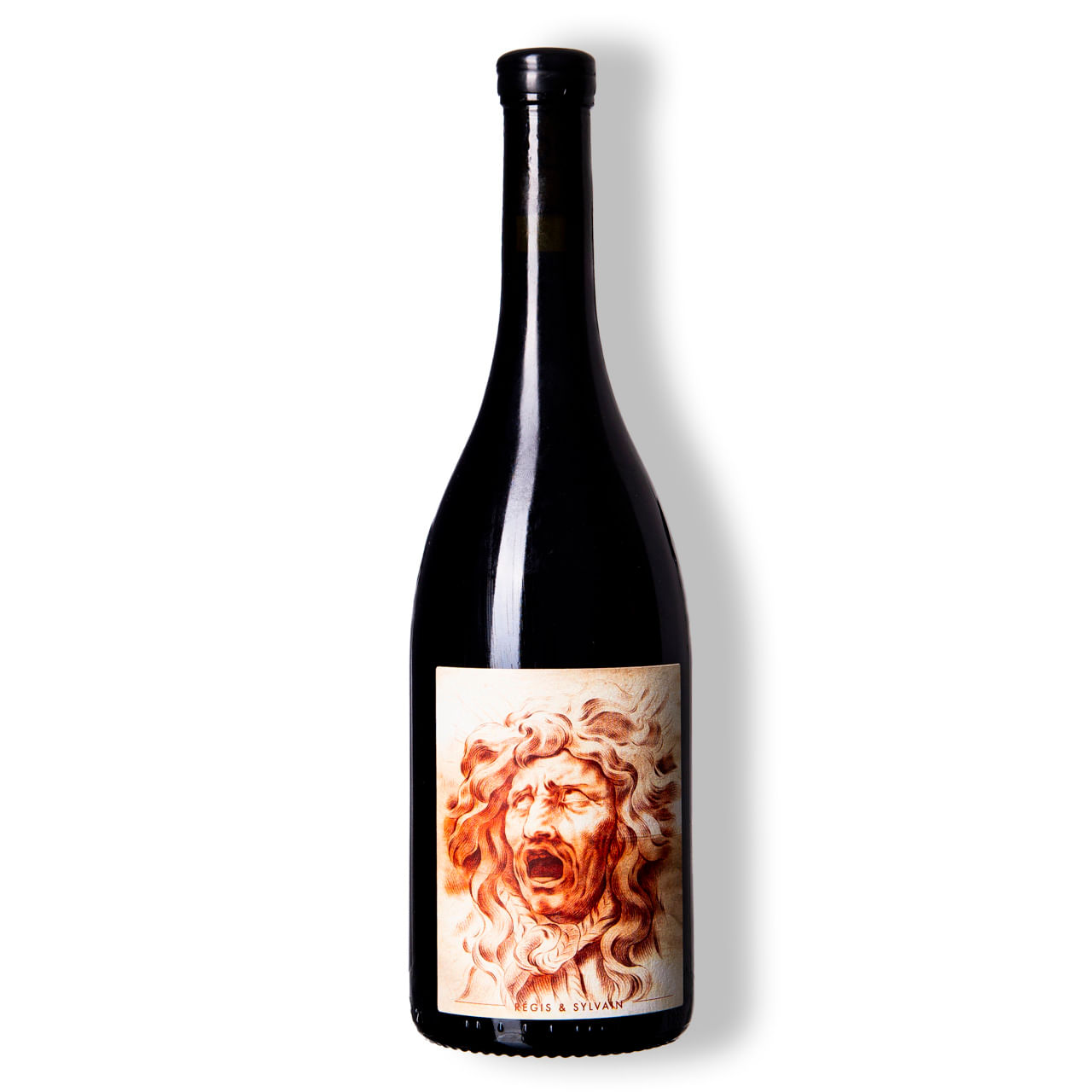 Vinho_Tinto_Morgon_2020_AOC_MORGON_FRRST2005N.jpg