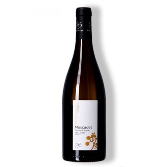 Vinho Branco Muscadet Sèvre et Maine sur Lie Les Laures 2020