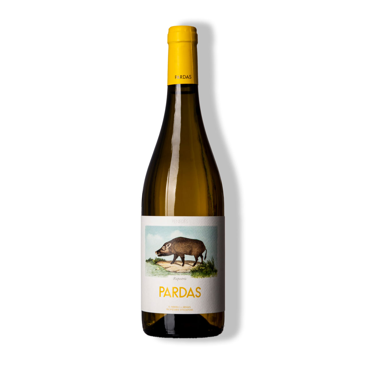 Vinho-Branco-Pardas-Rupestris-Penedes-2022-ESPSB2201N
