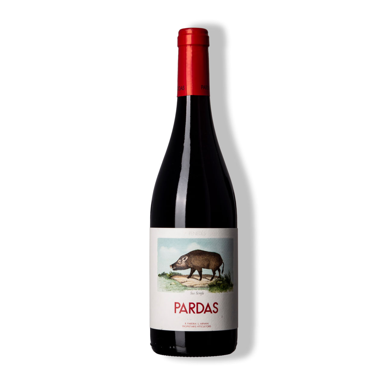 Vinho-Tinto-Sus-Scrofa-Sumoll-Penedes-2022-ESPST2201N