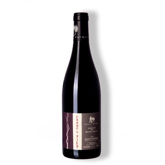 Vinho Tinto Franc De Pied Saumur-Champigny 2021