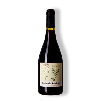 Vinho Tinto Pinot Noir Vale de San Antonio 2016
