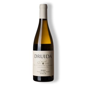 Vinho Branco Druida Reserva Encruzado DOP Dão 2021