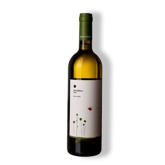 Vinho Branco Fiordaliso Umbria Grechetto 2022