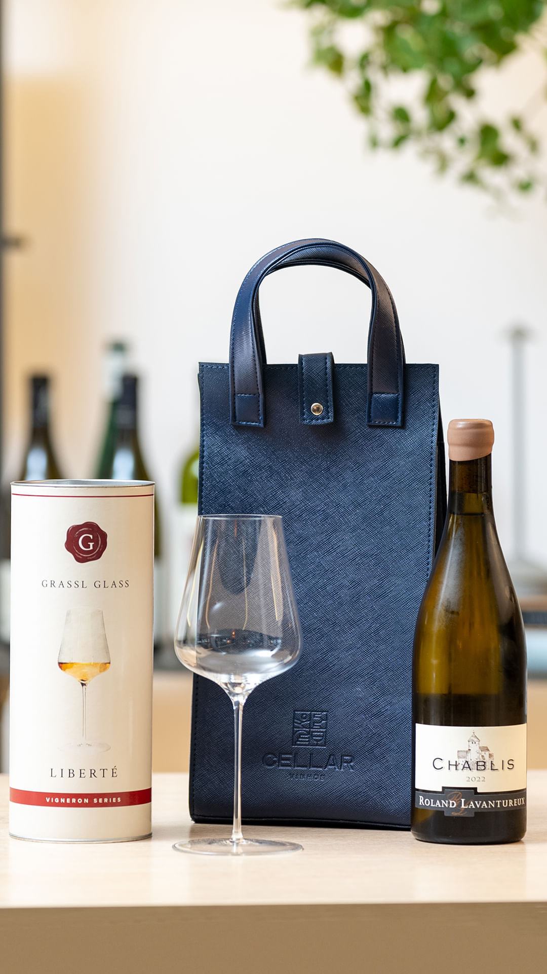 Bag-de-couro