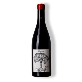 Vinho Tinto Statera Pinot Noir 2022