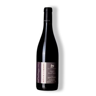 Vinho Tinto Saumur-Champigny Rouge Franc De Pied 2022