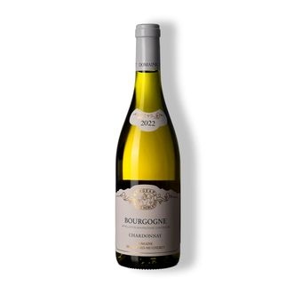 Vinho Branco Bourgogne Chardonnay 2022