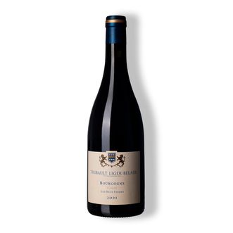 Vinho Tinto Bourgogne Gamay Les 2 Terres 2021