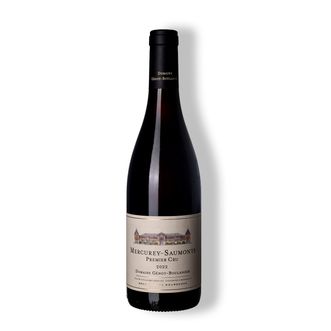Vinho Tinto Mercurey Premier Cru Les Saumonts 2022