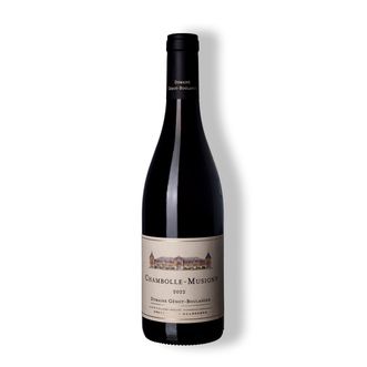 Vinho Tinto Chambolle-Musigny 2022