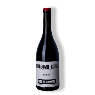 Vinho Tinto Bourgogne Pinot Noir Aux Concises 2023