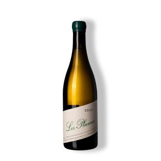 Vinho Branco Bourgogne Aligoté Les Plumes Sans Sulfite 2022