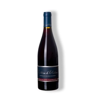 Vinho Tinto Lettre d'Eloise Coteaux Bourguignons Rouge 2023