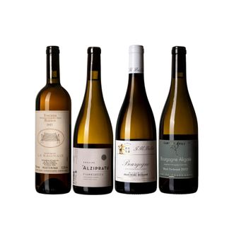 Kit Brancos da Folia