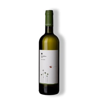 Vinho Branco Fiordaliso Umbria Grechetto 2024