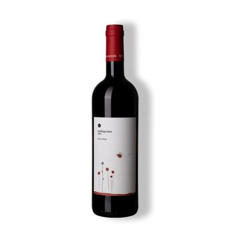 Vinho Tinto Melograno Umbria Sangiovese 2023