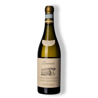 Vinho Branco Luminoso Vermentino Toscana 2024