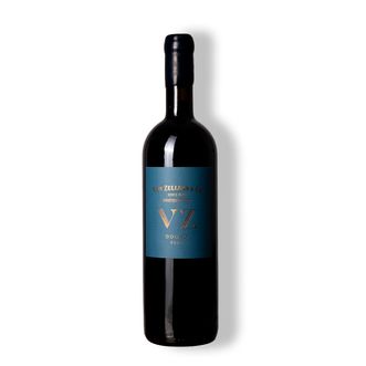 Vinho Tinto Vz Douro Red 2022