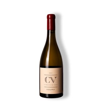 Vinho Branco Curriculum Vitae Douro White 2021