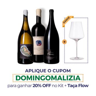 Kit Domingão - Chamar a Galera + 2 Taças Flow