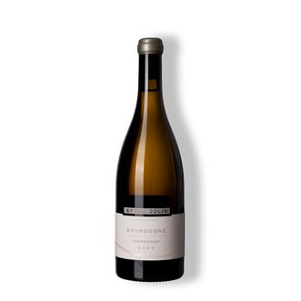 Vinho Branco Bourgogne Chardonnay 2023