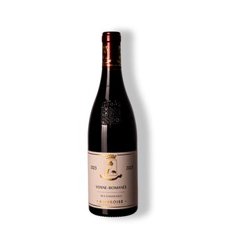 Vinho Tinto Vosne-Romanée Aux Damaudes 2023